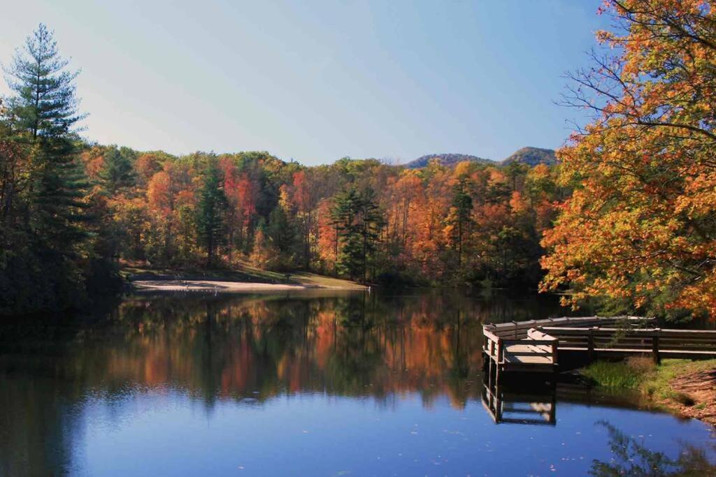 Bluebirds Nest 10 Min To Avl Biltmore Hot Tub Cont Bkfst Sparkling Water 阿什维尔 外观 照片